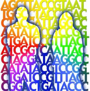 Imagen: Jade Ades (National Human Genome Research Institute, EEUU)