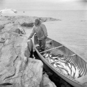 Las altas temperaturas y la ausencia de productos vegetales frescos, contribuían en el pasado a que la dieta tradicional en muchas regiones del ártico estuviera basada en el consumo de pescado con alto contenido energético. Imagen: Rosemary Gilliat Eaton, CC BY 2.0