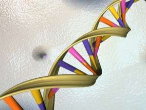 células modificadas genéticamente . Imagen: National Human Genome Research Institute