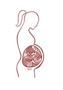 pruebas prenatales no invasivas.