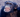 plasticidad cerebral. Imagen: Young adult male chimpanzee (Photo: Frans de Waal, Emory University). doi:10.1371/journal.pbio.0030202.g001