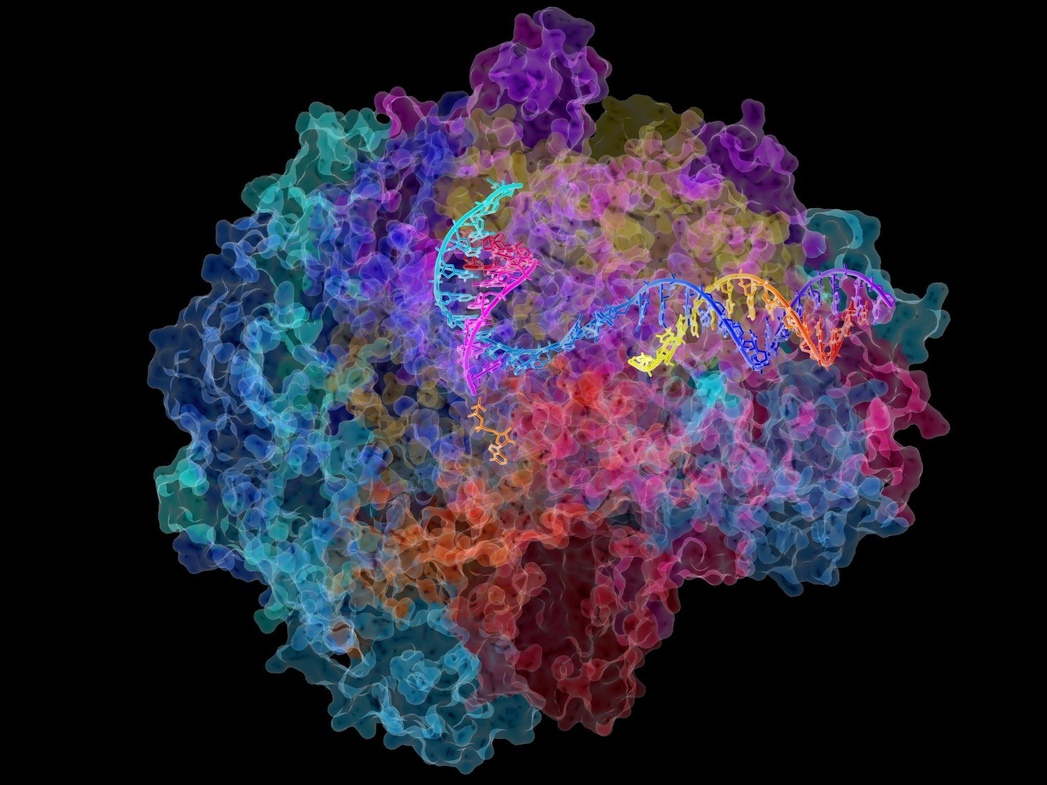 CRISPR Para ARN Nuevo Sistema De Edici n G nica Genotipia