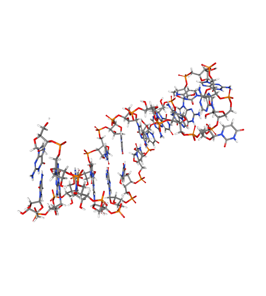 Identificado un nuevo mecanismo de regulación de los microARNs - Genotipia