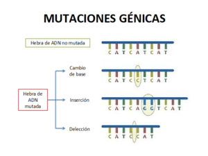enfermedades hereditarias