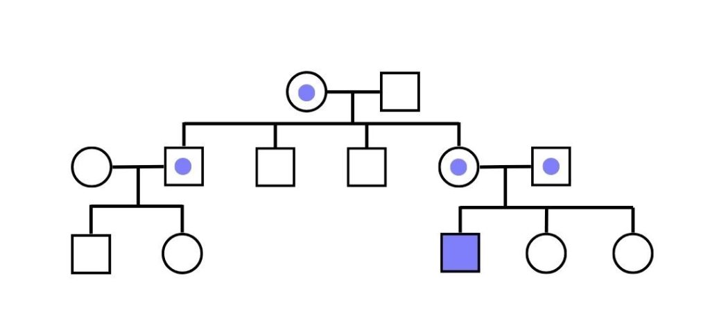 Enfermedades hereditarias - autosomica recesiva