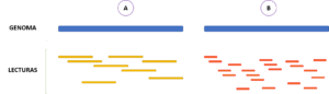 NGS