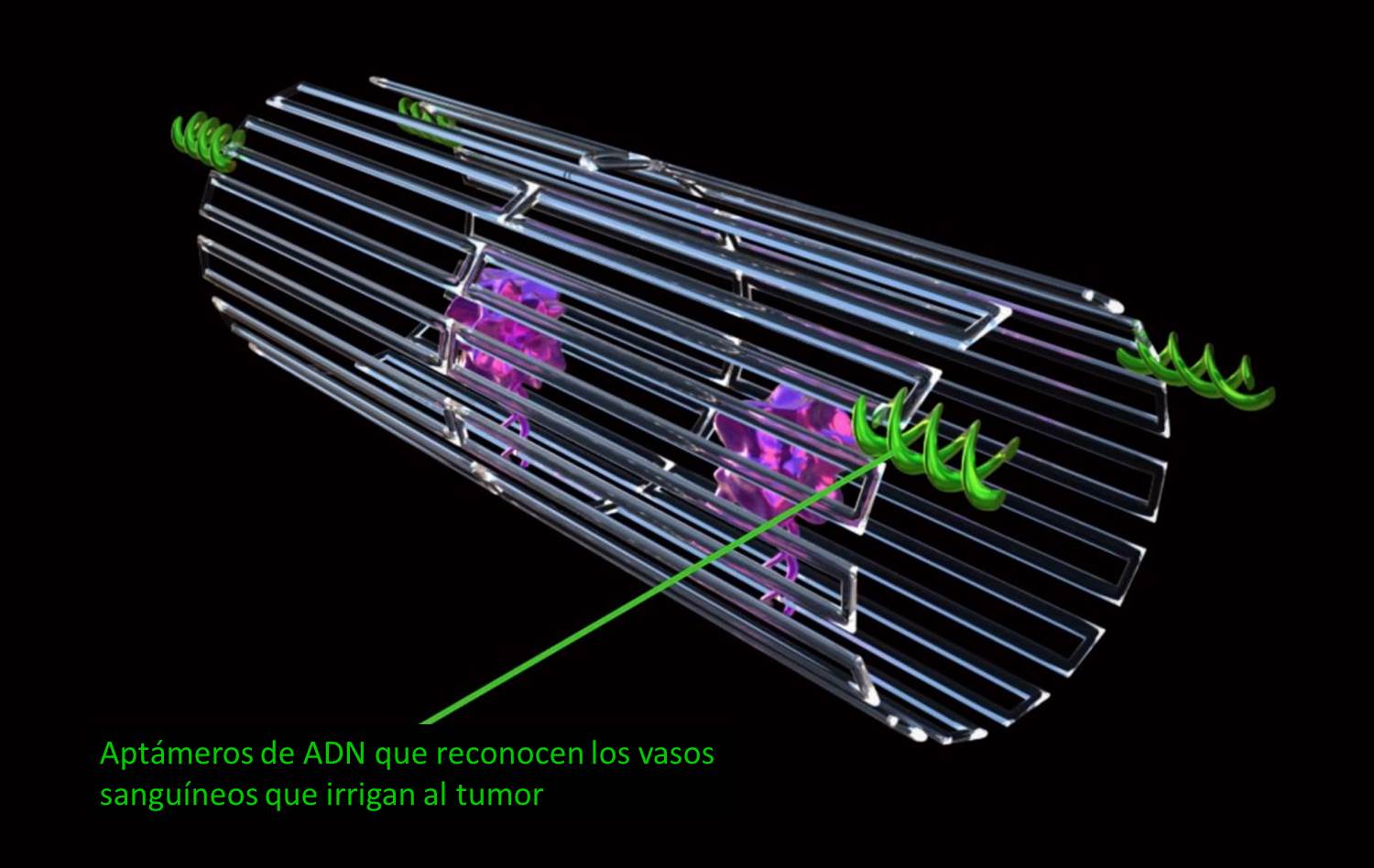 Nanorobots de ADN para combatir al cáncer - Genotipia