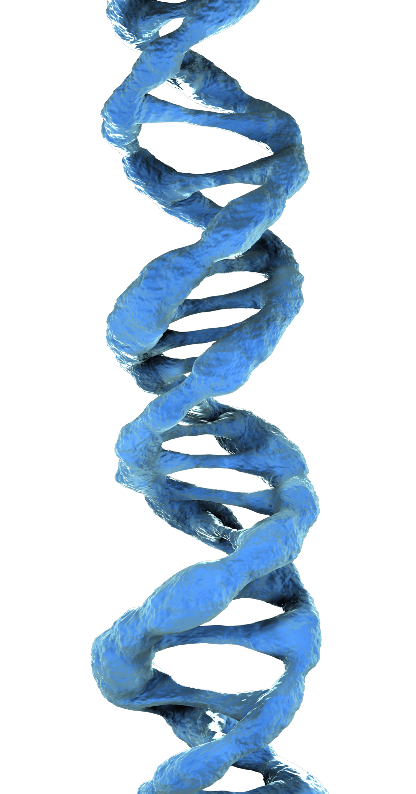 3d Dna Png Sex Hot 