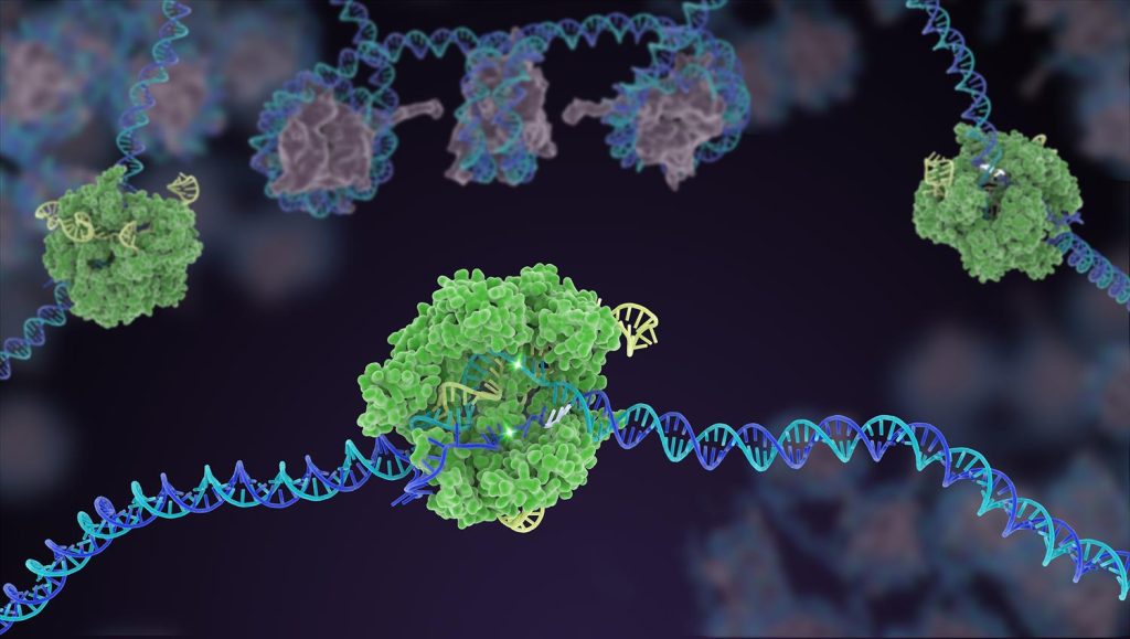 CRISPR_poster_M.jpg - Genotipia