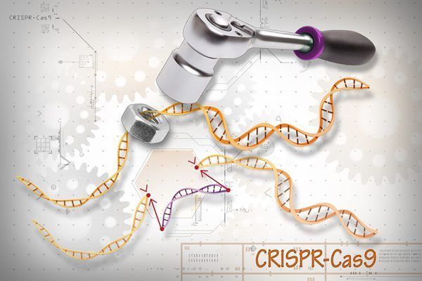 detección coronavirus CRISPR