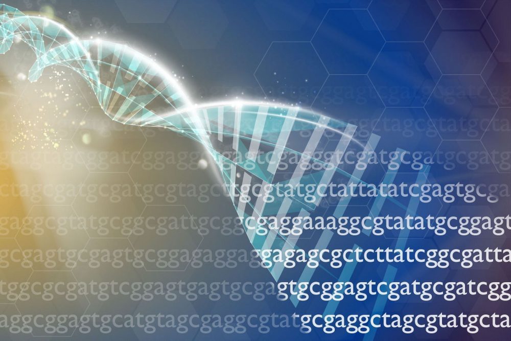 Caracterización Genómica Del Cáncer De Endometrio 5626