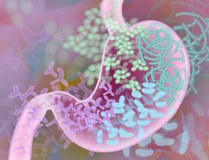 genes microbioma intestinal