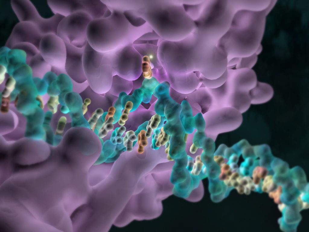 metilacion epigenetica dolor cronico