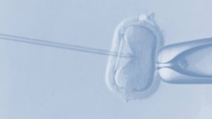 edición genoma embriones