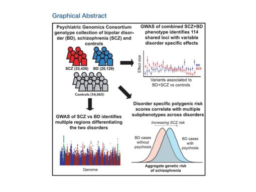 Graphical Abstract - Genotipia