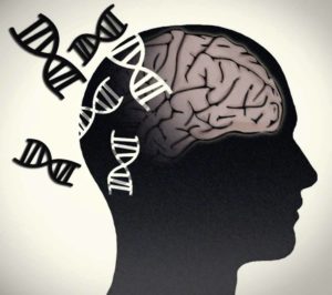 genética de la esquizofrenia