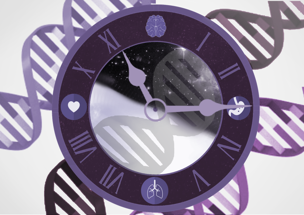 RelojGenesMedigene Genotipia