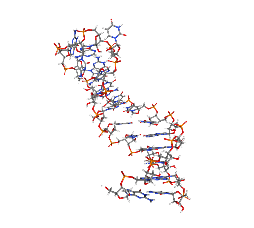 microARNs