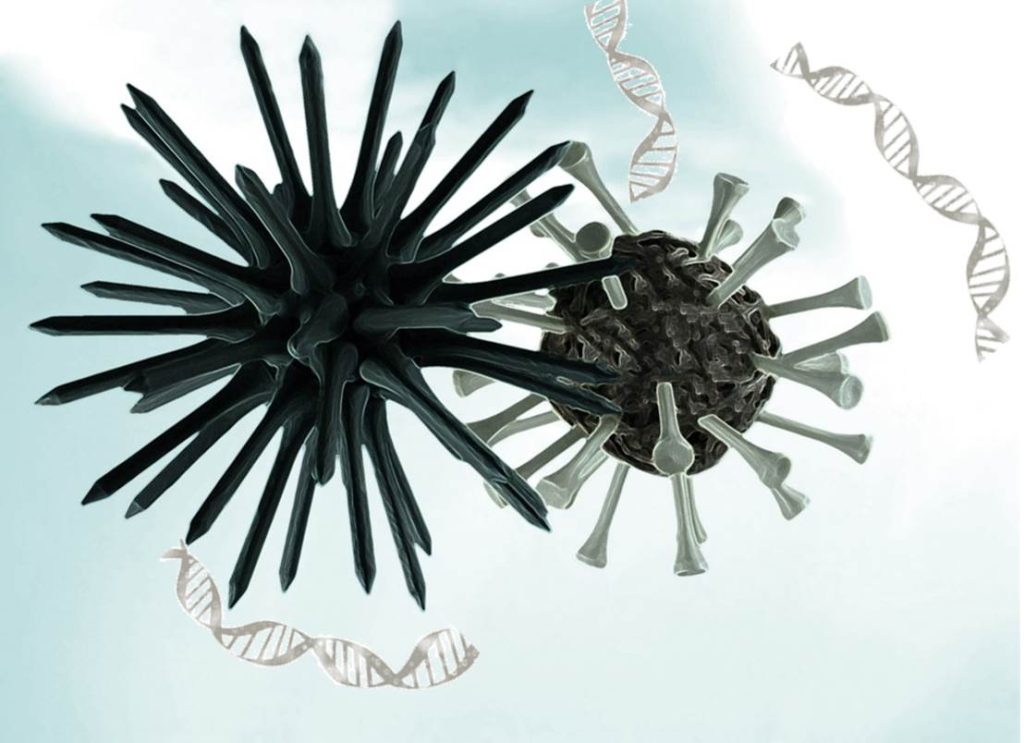 virus de epstein barr enfermedades