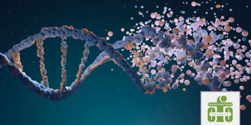 pruebas genéticas en cascada para el cáncer de próstata