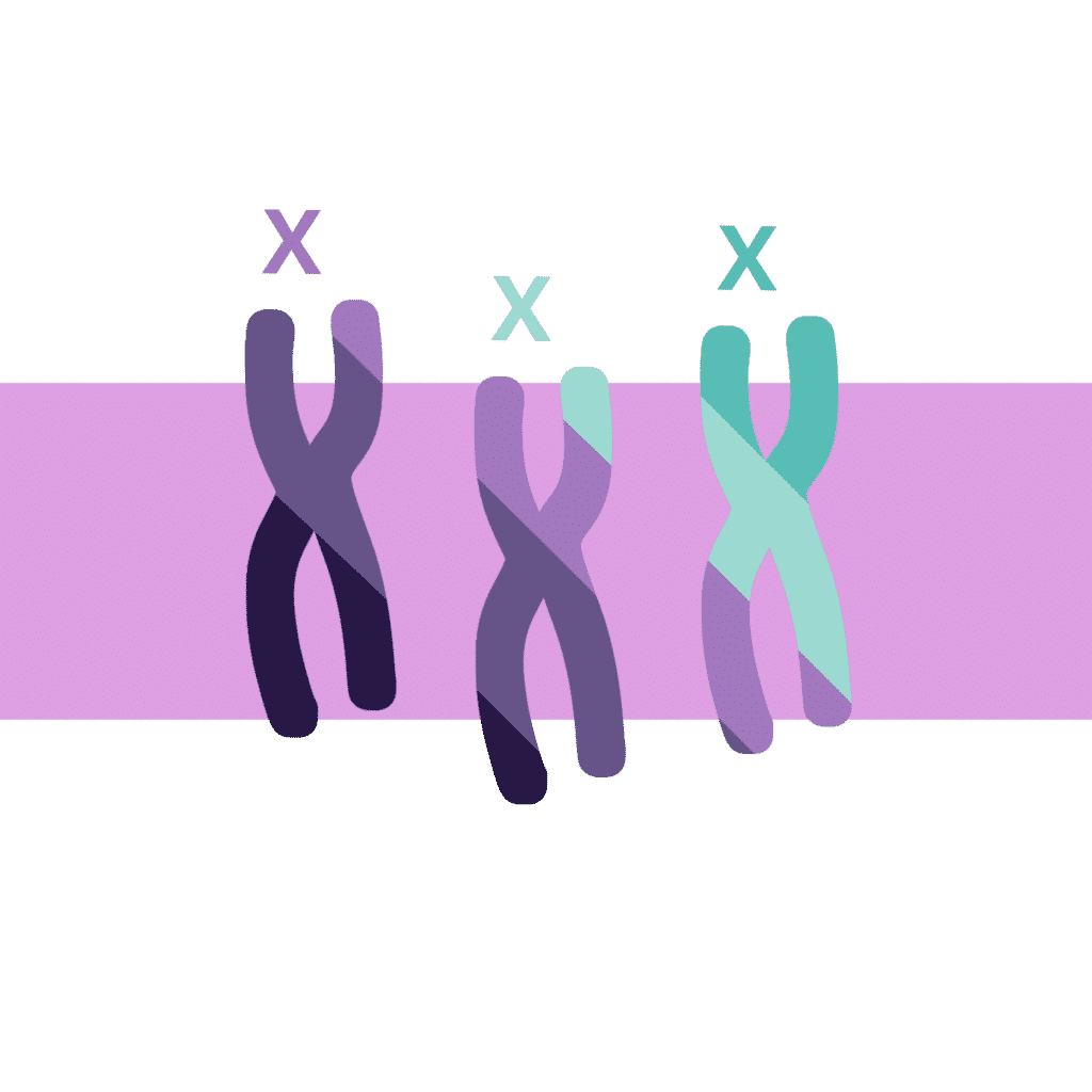 síndrome triple x, xxx, cromosoma x, síndrome xxx, trisomía, trisomías cromosomas sexuales