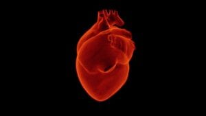 terapia génica regeneración corazón