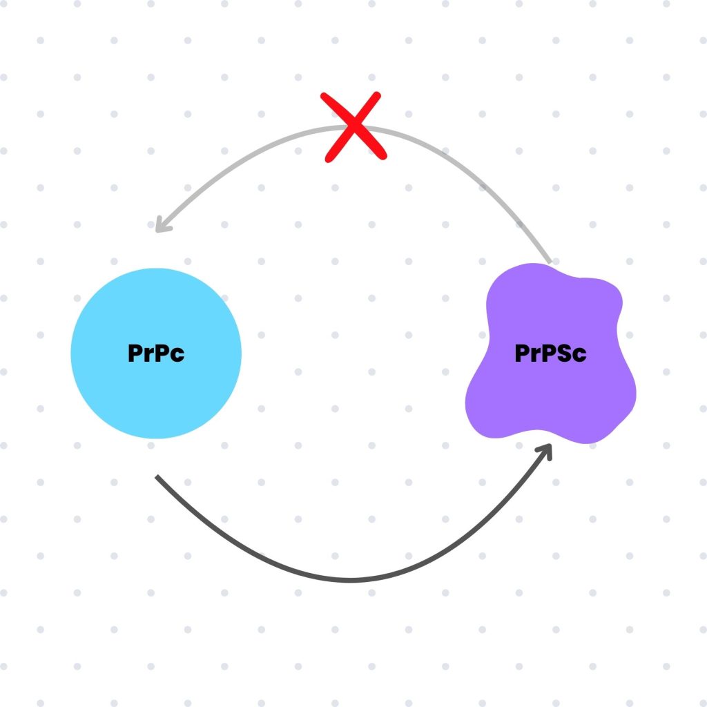 PROTEÍNA PRIONES PRPC PRPSC