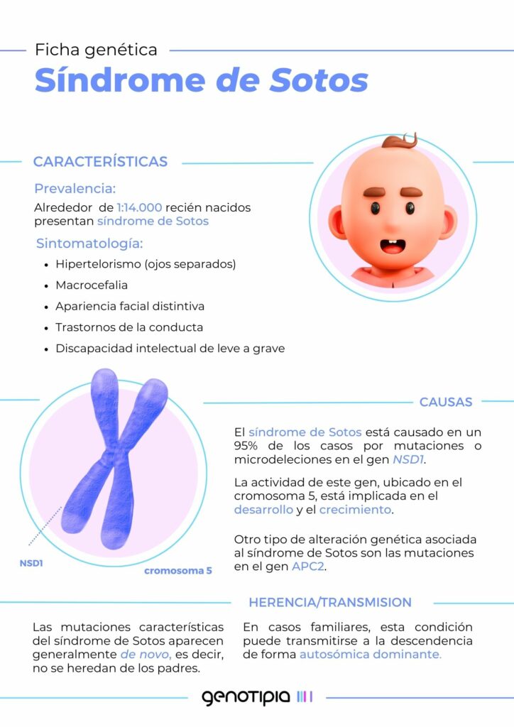 Fichas Genéticas Sotos Genotipia