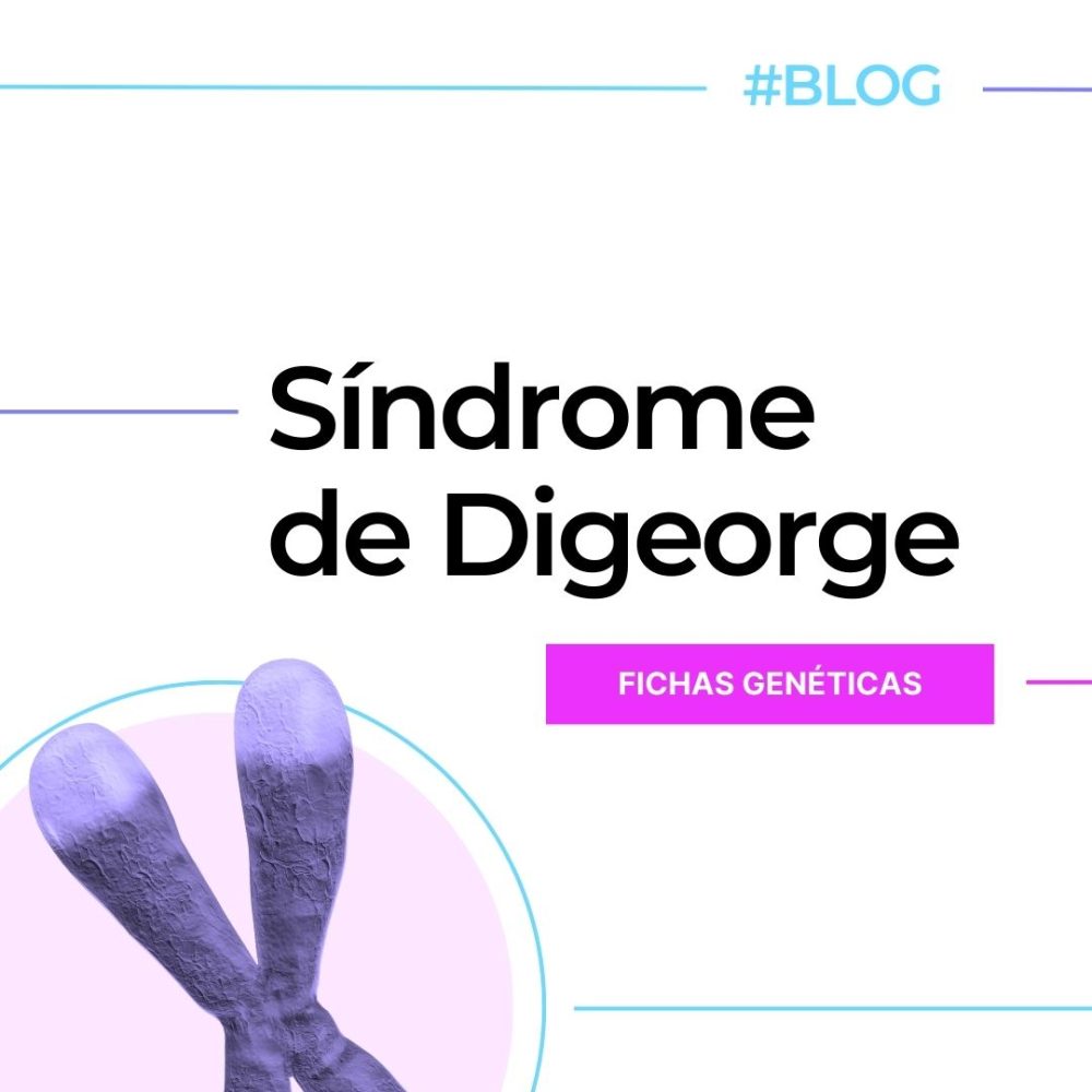 Fichas Genéticas Síndrome De Digeorge Ds22q11 2 Genotipia