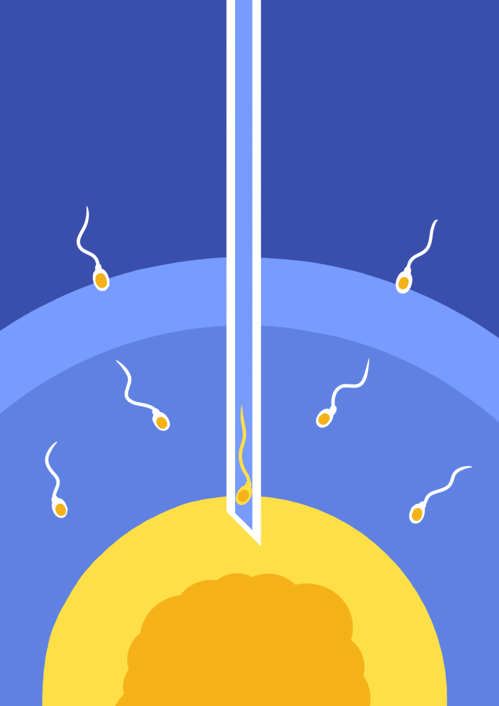 Lecturas de técnicas de reproducción asistida