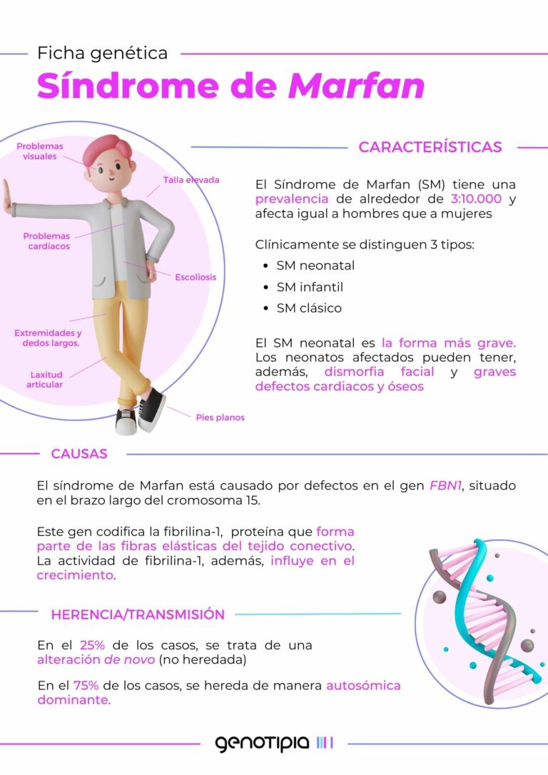 Fichas Genéticas síndrome de Marfan Genotipia