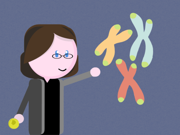 Elizabeth Blackburn, cromosomas, telomerasa, células HeLa, HeLa