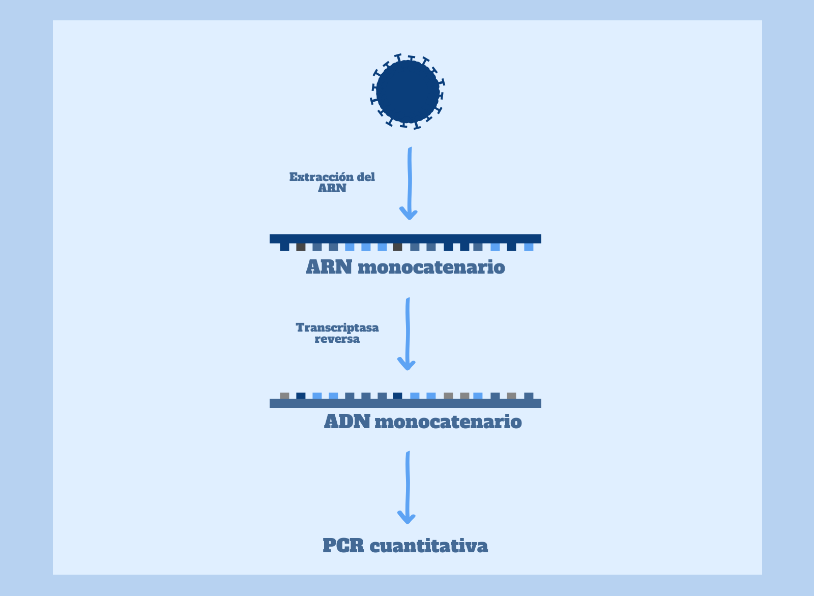 Diferencias entre el test serológico, el de antígenos, el rápido de anticuerpos y la PCR