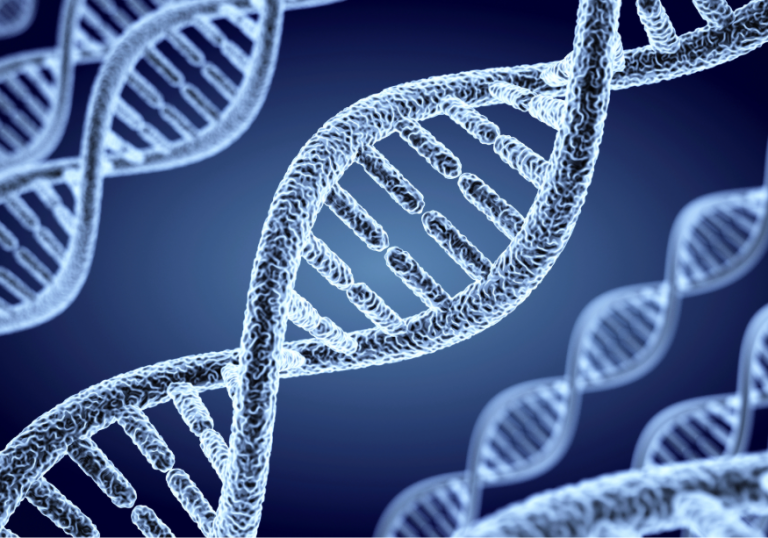 En el síndrome de Cornelia de Lange están involucrados hasta seis genes diferentes relacionados con la organización de los cromosomas. Imagen: Adobe Express.