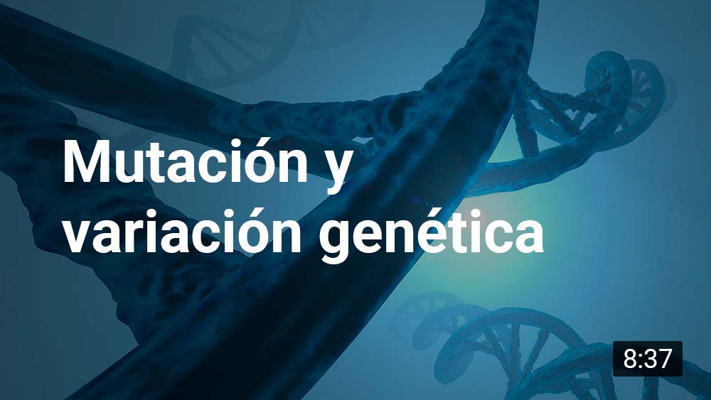 Mutacion Y Variacion Genetica Genotipia