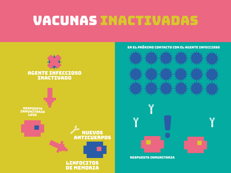 Vacunas: ¿Qué Son Y Cómo Funcionan? - Genotipia