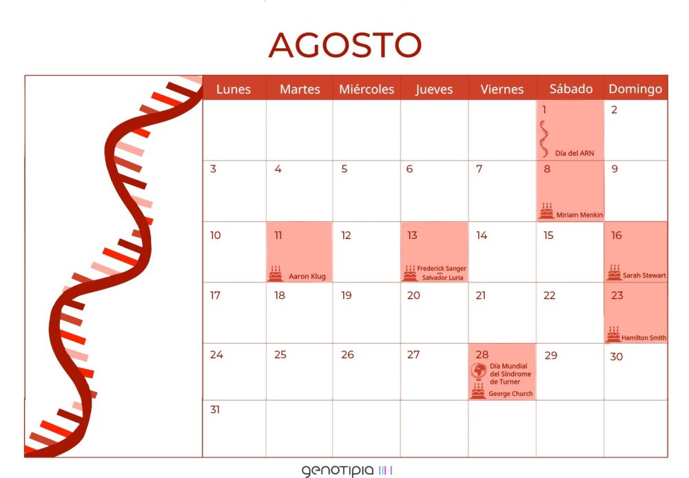 Calendario Genético: Agosto 2020 - Genotipia