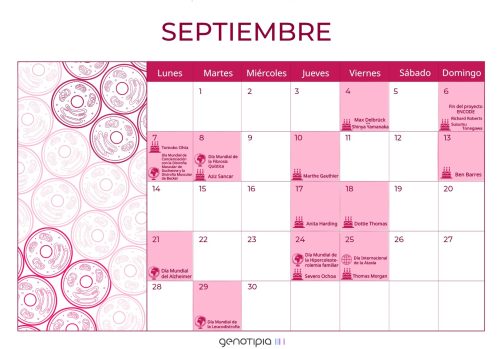 Calendario Genético: Septiembre 2020 - Genotipia