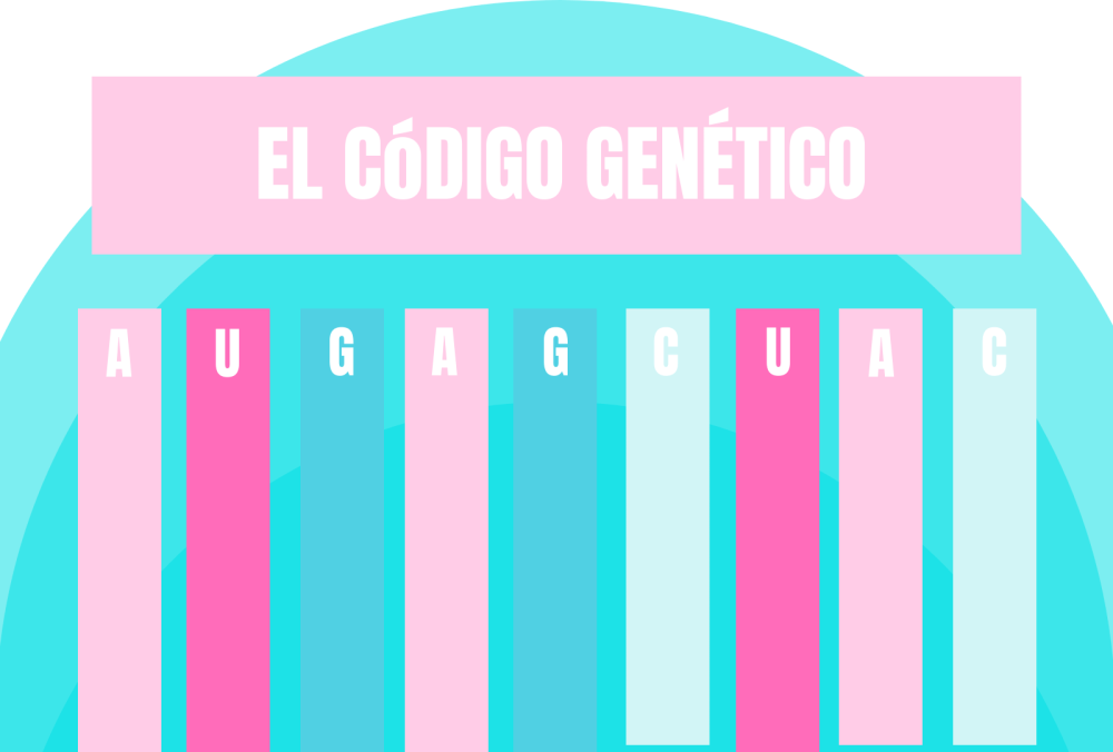 ¿qué Es El Código Genético El Blog De Genotipiaemk 6565