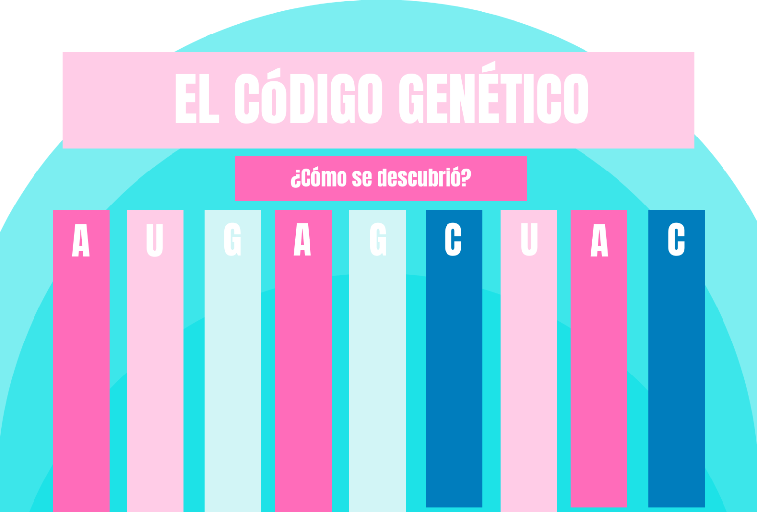 ¿cómo Se Descubrió El Código Genético El Blog De Genotipiaemk 7187