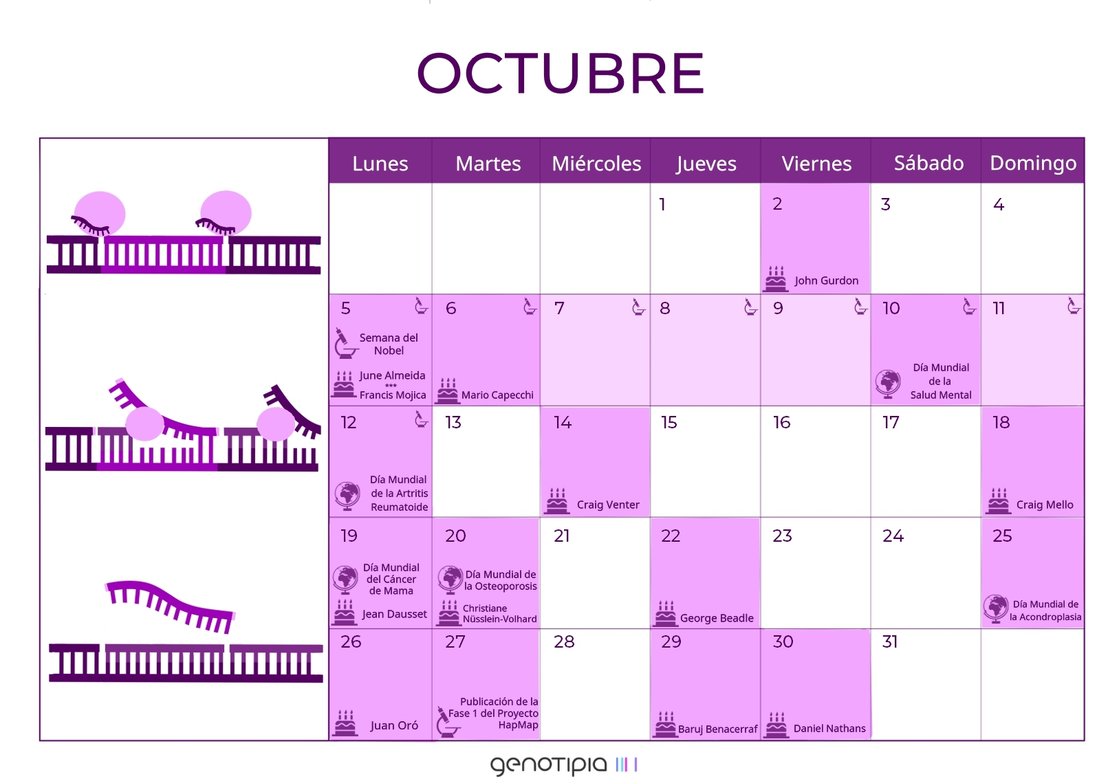 Calendario Genético Octubre 2020 Genotipia