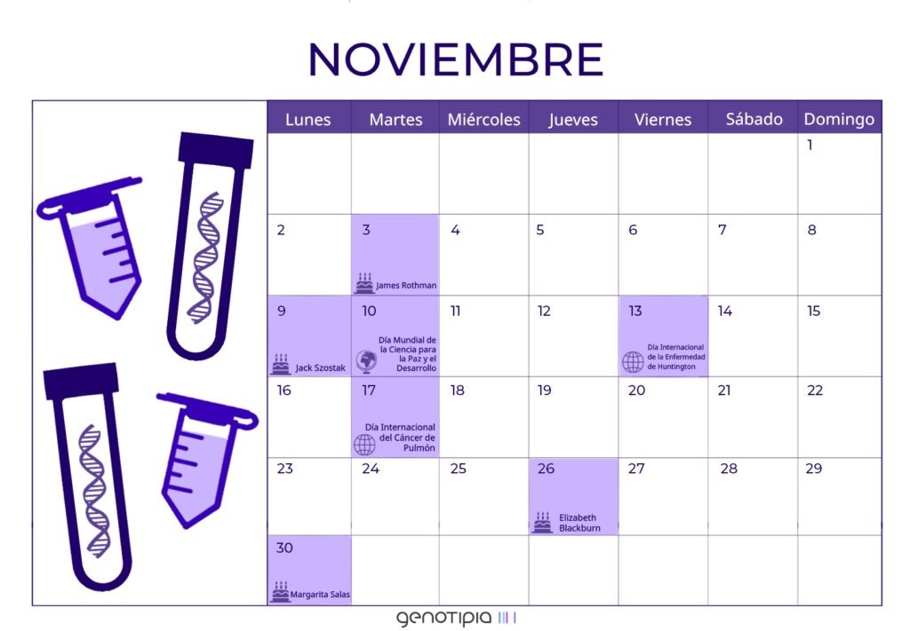 Calendario Genético: Noviembre 2020 - Genotipia