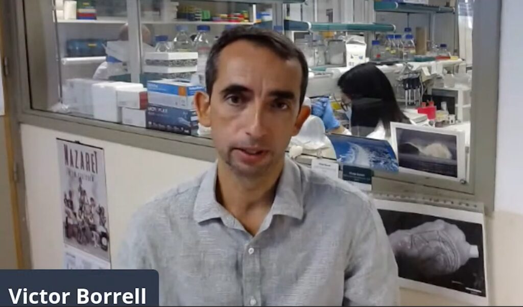 fotografía de víctor Borrell
