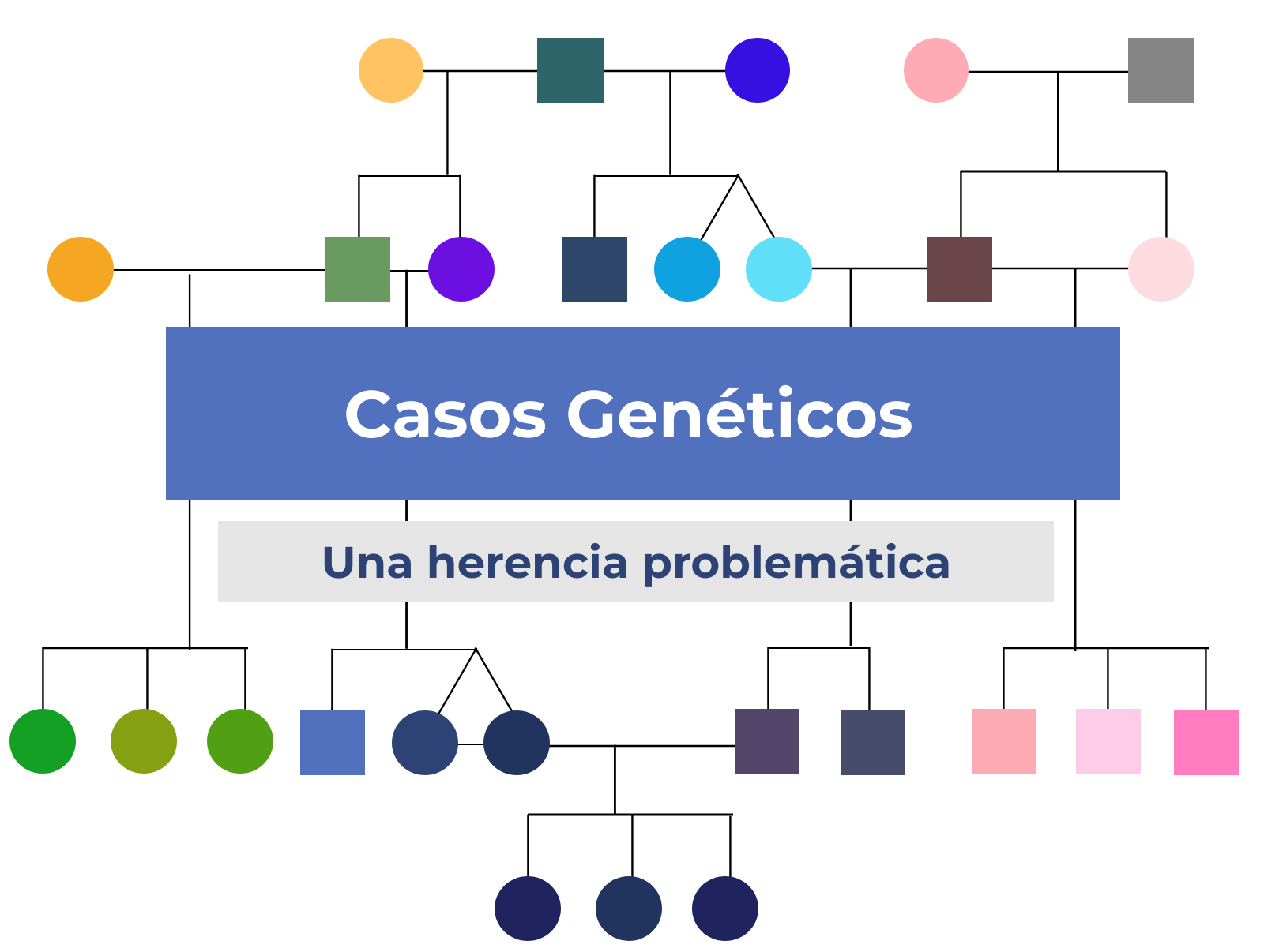 Casos Genéticos: Una Herencia Problemática - Genotipia