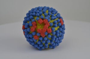 vacuna universal gripe
