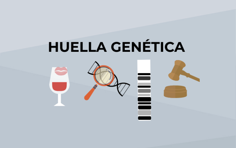 El Blog De Genotipia Curiosidades Genéticas Huella Genética 0118