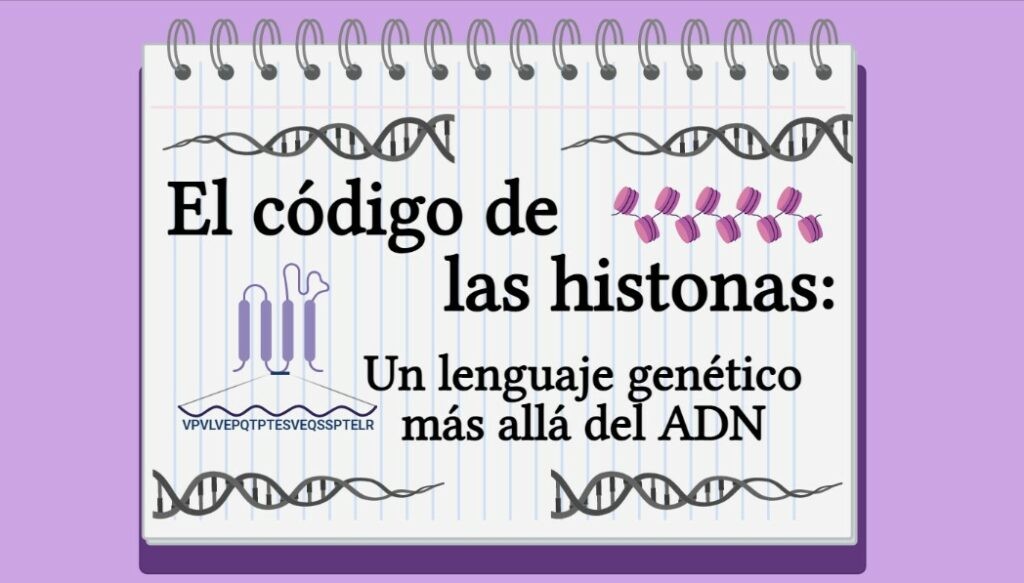 El código de las histonas: un lenguaje genético más allá del ADN