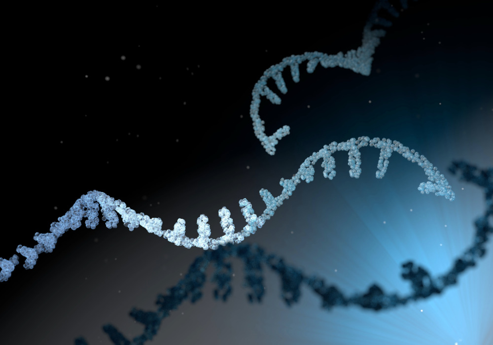 Los microARNs son moléculas de ARN cortas no codificante que regulan la expresión de los genes