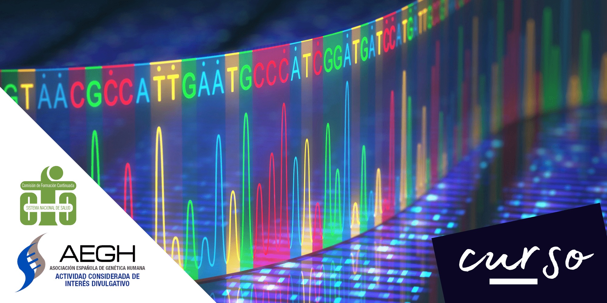 Pruebas Genéticas: Explorando El Potencial Del ADN - Genotipia