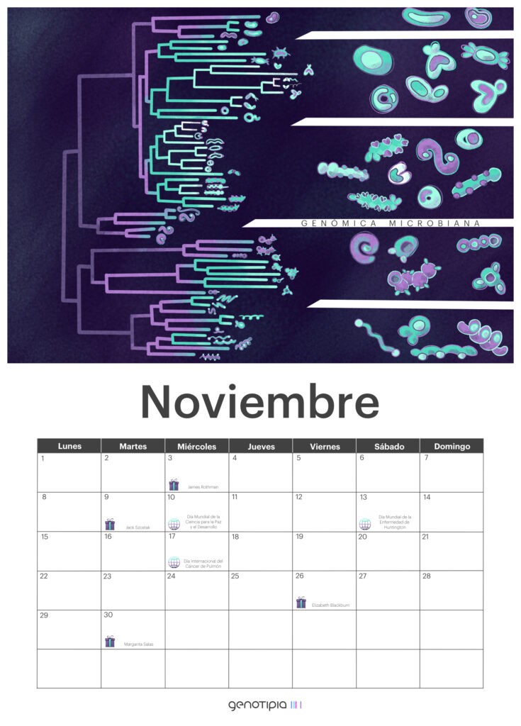 Calendario Genético: Noviembre 2021 - Genotipia